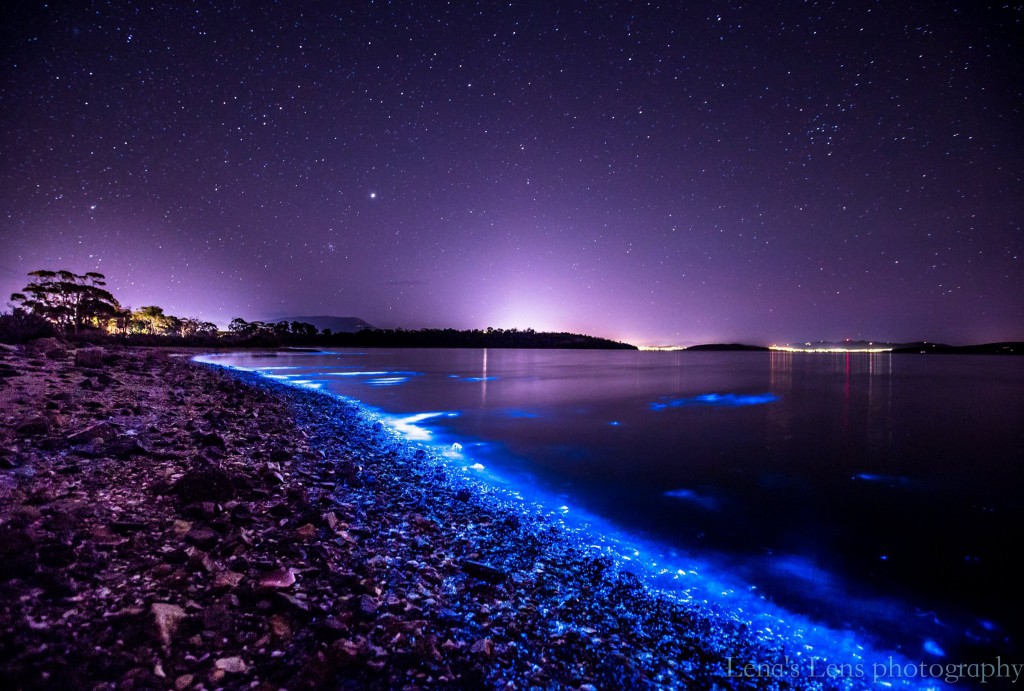 Tasmania Hobart świecąca rzeka