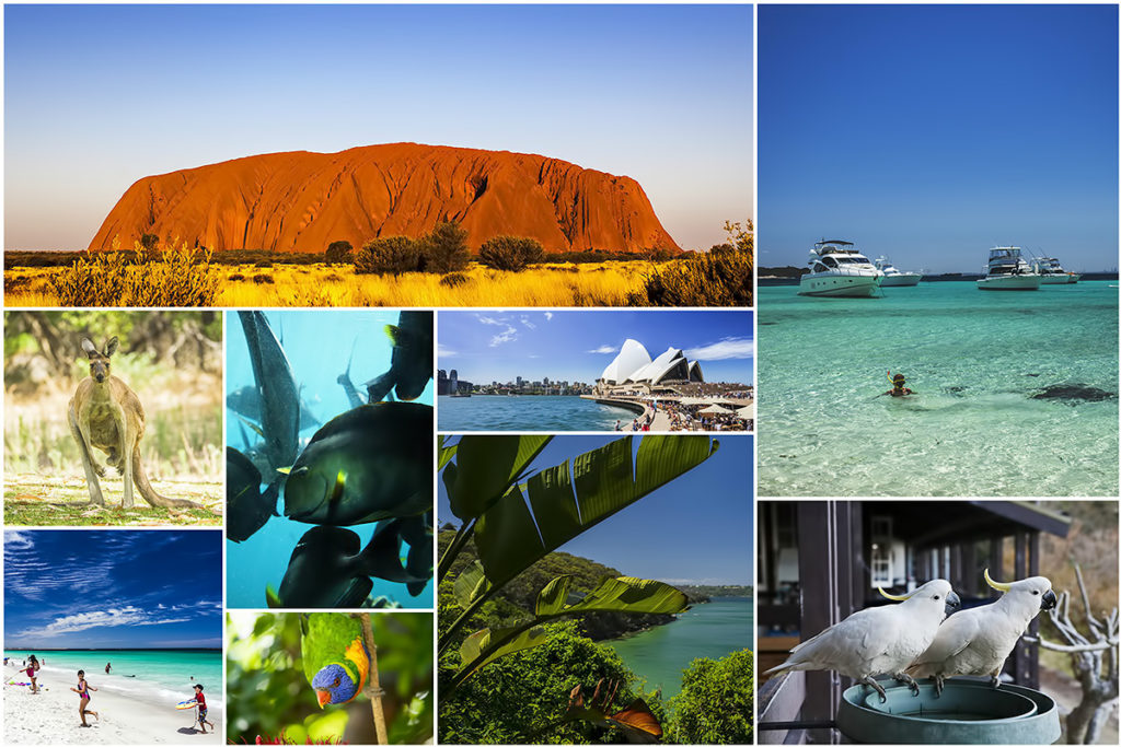 Australia kolaż Uluru Sydney