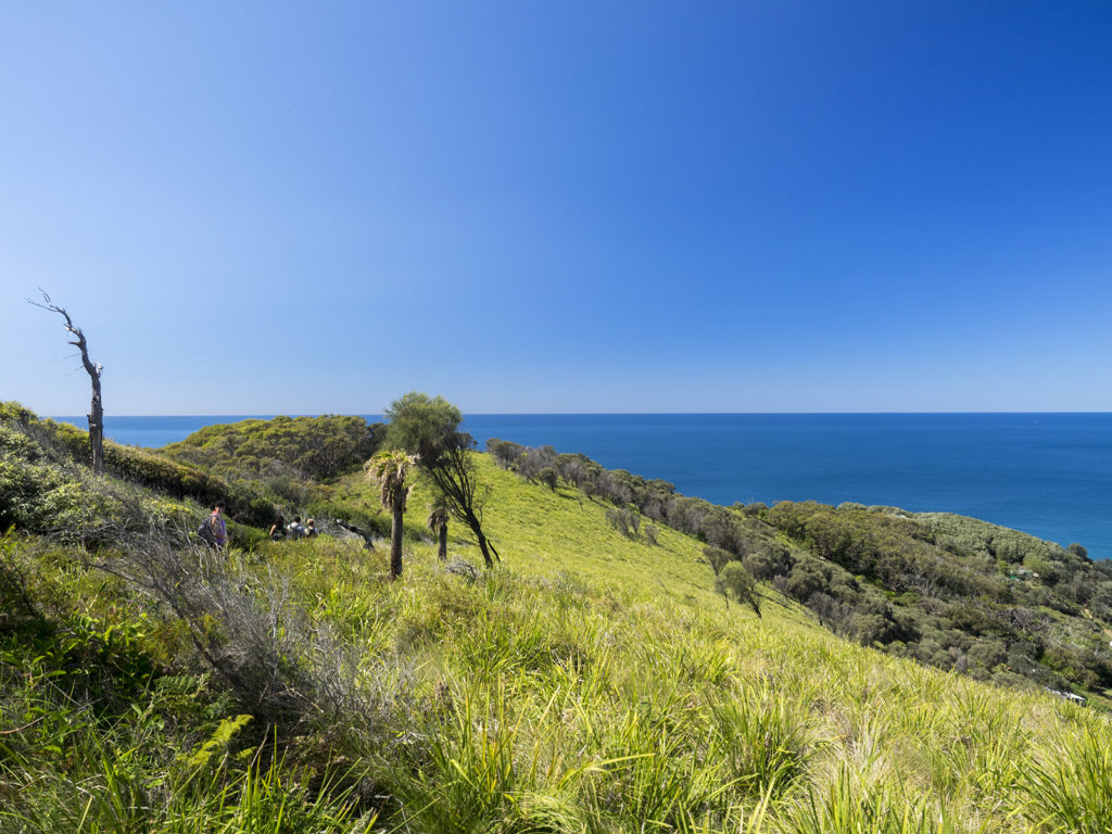 Royal National Park, wypad, Sydney