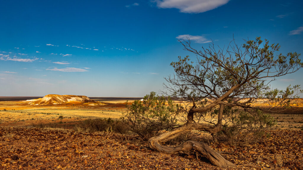 Coober Pedy, outback, Australia Południowa