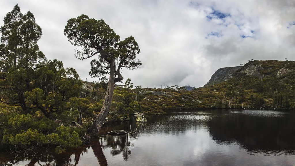 Wombat Pool pod Cradle Mountain, Tasmania, Australia